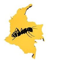 RevColombiana De Entomología(@REntomologia) 's Twitter Profile Photo