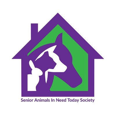 Senior Animals In Need Today Society (SAINTS), a multi-species animal sanctuary helping senior and special needs animals. #SAINTSrescue