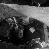 چ.. (@mushjulia) 's Twitter Profile Photo