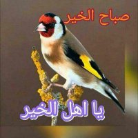 Hadi (@hadi22464943) Twitter profile photo