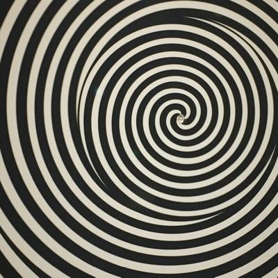 topallilla's profile picture. 🌱