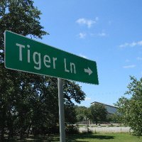 Dripping Springs Middle School (@dsmstigers) 's Twitter Profile