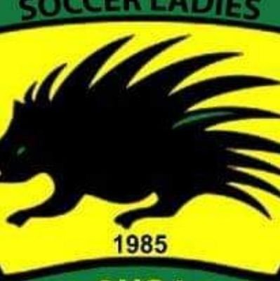 Official account for Fabulous Ladies FC in @wplgh_official .The club is basically into training females who hv an interest in playing football in Ghana & Beyond