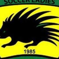 Fabulous Ladies Football Club(@LadiesFabulous) 's Twitter Profileg