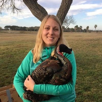PhD in Ecology and Evolutionary Biology //

Using wild and domestic 🦃 to understand Anthropogenic change at the genomic level