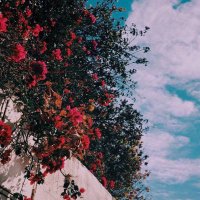 خيال 🍂 (@ox_9000) Twitter profile photo