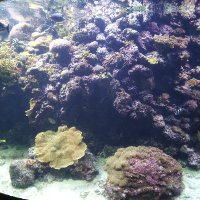 Marion Amujal (@amujalmarion) 's Twitter Profile