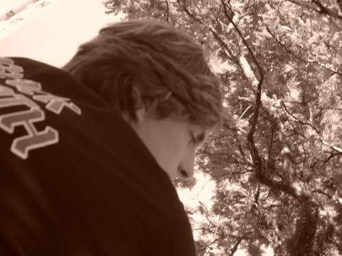 viver a sociedade alternativa