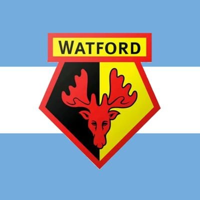 🐝Cuenta NO OFICIAL del Watford Football Club. Brindadoles informacion sobre Los Hornets a aquellos latinos seguidores del club.🐝