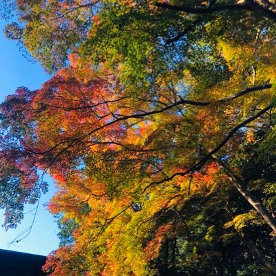 katarina5353's profile picture. ワンオペ