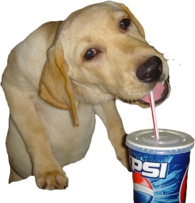 dogdrinkinpepsi's profile picture. HELLO.