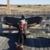 Akilah 🦜🦋🌸 (@birdingqueens) Twitter profile photo Akilah 🦜🦋🌸 (@birdingqueens) Twitter profile photo