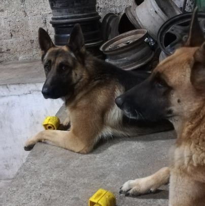 Nacido en mtz de la T. Veracruz, aficionado a la vida. A veces leo por necesidad y a veces por afición. Me gusta la historia.