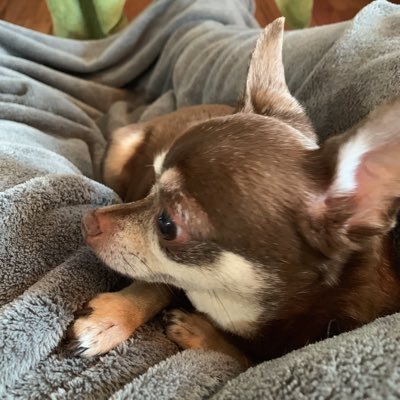 jenki1968's profile picture. 