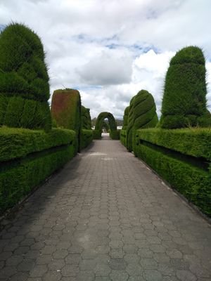 Guiller26121250's profile picture. 