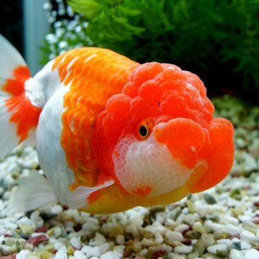 Just a fishy gamer.
https://t.co/nhkrfLigbm
https://t.co/4tWlF9rKUh