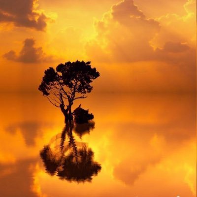 mo0mo04ever2001's profile picture. 