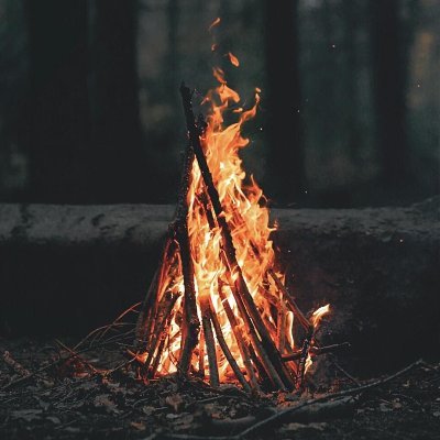 Jsoc06862288's profile picture. 