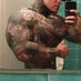 Hottest Tattoo Lads (@hotladswithtats) Twitter profile photo Hottest Tattoo Lads (@hotladswithtats) Twitter profile photo