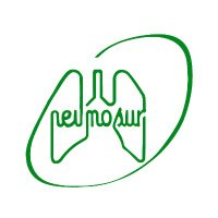 @Neumosur (@neumosur) 's Twitter Profile Photo @Neumosur (@neumosur) 's Twitter Profile Photo