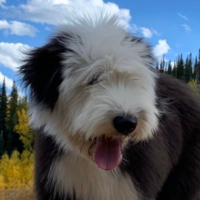 JadaComp's profile picture. 