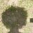 quimalier's profile image
