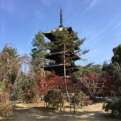 shinhuzen1040's profile picture. 