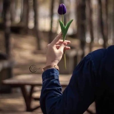 في الطرف الرقيق دائماً 🎻🖤