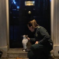 Claire Foweraker (@clairefoweraker) 's Twitter Profile Photo