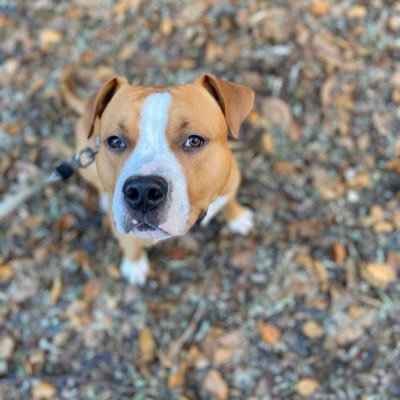 Twerky_TwerkMan's profile picture. 