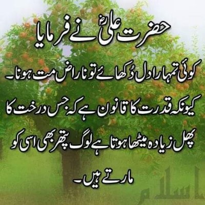 Muhammadshaist1's profile picture. 