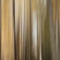 Apertur (@apertur2) 's Twitter Profile