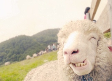 ChaeRinMom2's profile picture. 워킹맘입니닷! 아기정보도 공유하고, 문화정보도 공유해요^_^