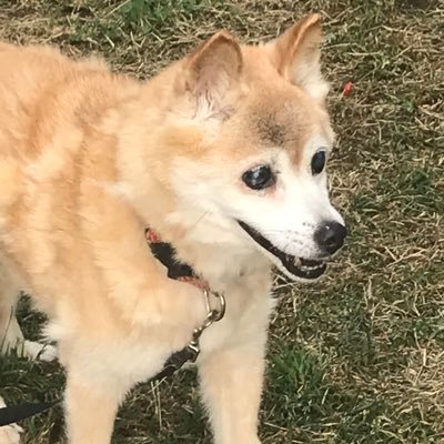 EUFJTrvFzKRZUHz's profile picture. 還暦を超えた親父です 宜しくおねがいします