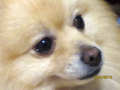 marokichi88's profile picture. 