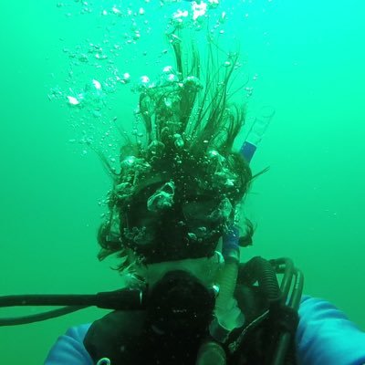 HollyW314's profile picture. 