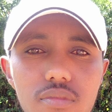 Alishama3's profile picture. An environmentalist || environmental blogger || humanitarian worker || son of nomad.