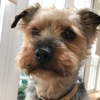 elizajane (@elizaja71705453) 's Twitter Profile Photo elizajane (@elizaja71705453) 's Twitter Profile Photo