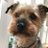 Twitter result for Very, from Littlewoods from elizaja71705453