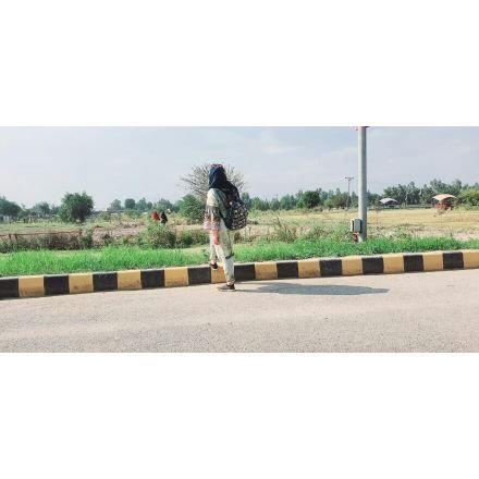 SanaIqb24405734's profile picture. Bioinformatician to be 👩‍💻