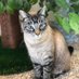 Bayside Pet Resort (@baysidepet) Twitter profile photo Bayside Pet Resort (@baysidepet) Twitter profile photo