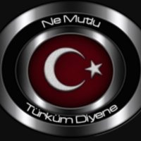Bilgin Koluacik (@koluacikb) 's Twitter Profile