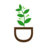 right_gardening's profile picture. Sharing gardening goodness, helpful resources, tips, and tricks! Plant dad ~ 800+ plants 🌺 #therightgardening DM for collabs/reviews
