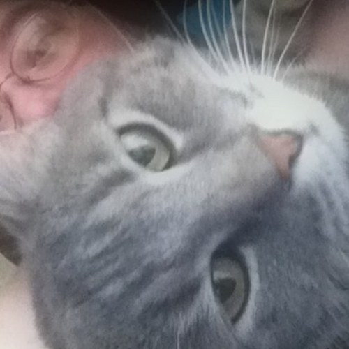 lifeisfun's profile picture. I work with exact numbers during the day and dream of designs by night. I like spending time with family, taking pictures, watching TV and chatting about life.