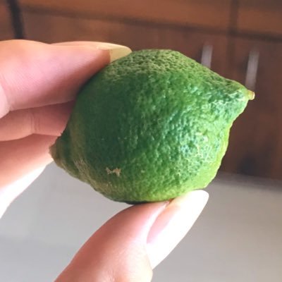 主体性って何だろ。目的的に生きるって? そんなことを考えながら「好きを見つける」 「自分の言葉で発信する」を目標に始めました。