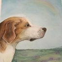 Ryan Duffy - @ryanduffynews - Twitter