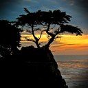 Bill Marty - @StrayIdeas - Twitter