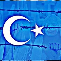 Mustafa Caner (@mustafacaner44) Twitter profile photo