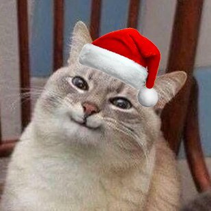 isunmonkey's profile picture. 