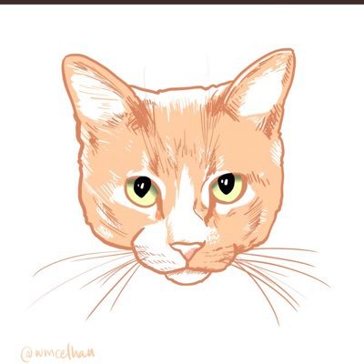 Header by @catsapphic. am 9 year old cat. am ANGERY. like wet cat food